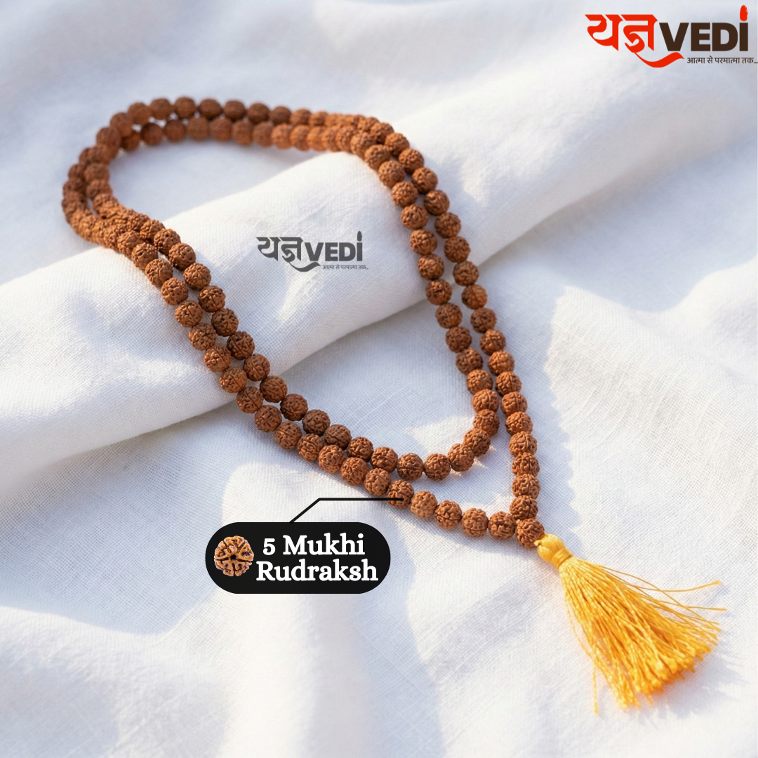 Rudraksh Jap Mala – 108 +1 Beads