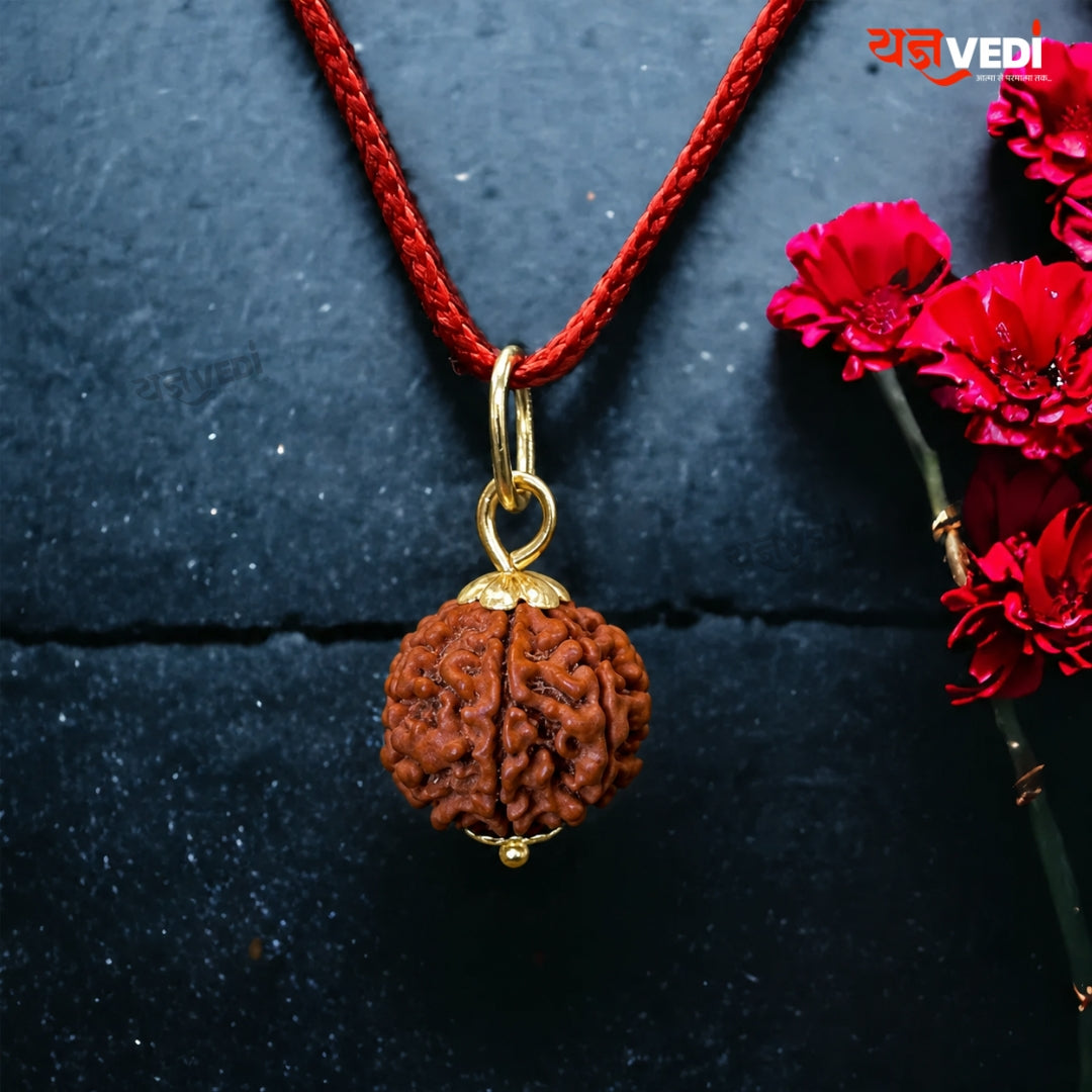 Original 6 Mukhi Nepali Rudraksha (Chhey Mukhi)