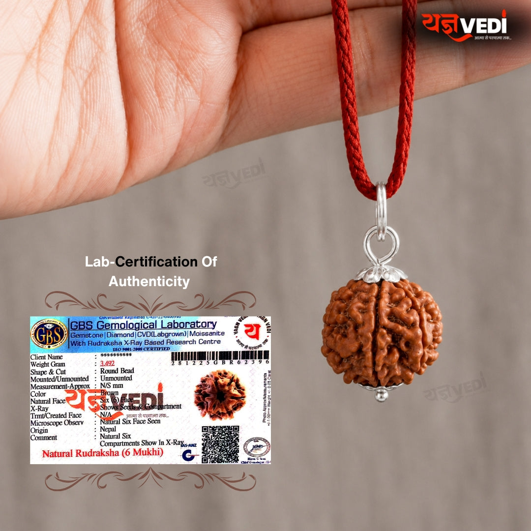 Original 6 Mukhi Nepali Rudraksha (Chhey Mukhi)