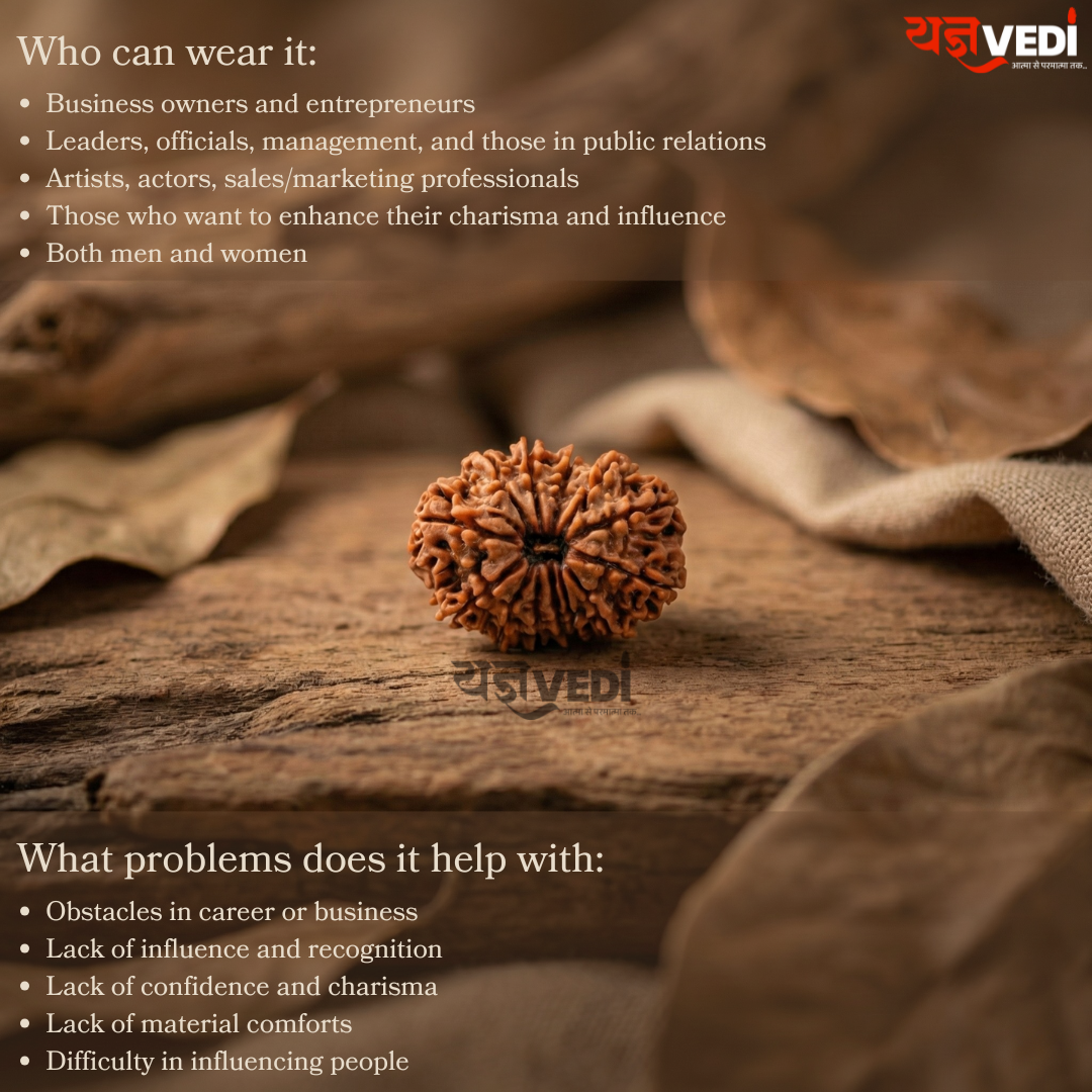 Original 13 Mukhi Nepali Rudraksha (Terah  Mukhi)