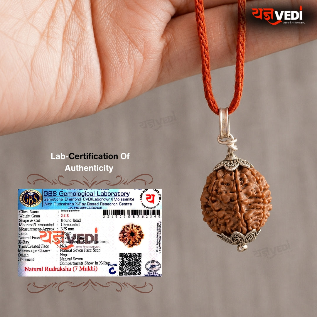 Original 7 Mukhi Nepali Rudraksha (Saat Mukhi)