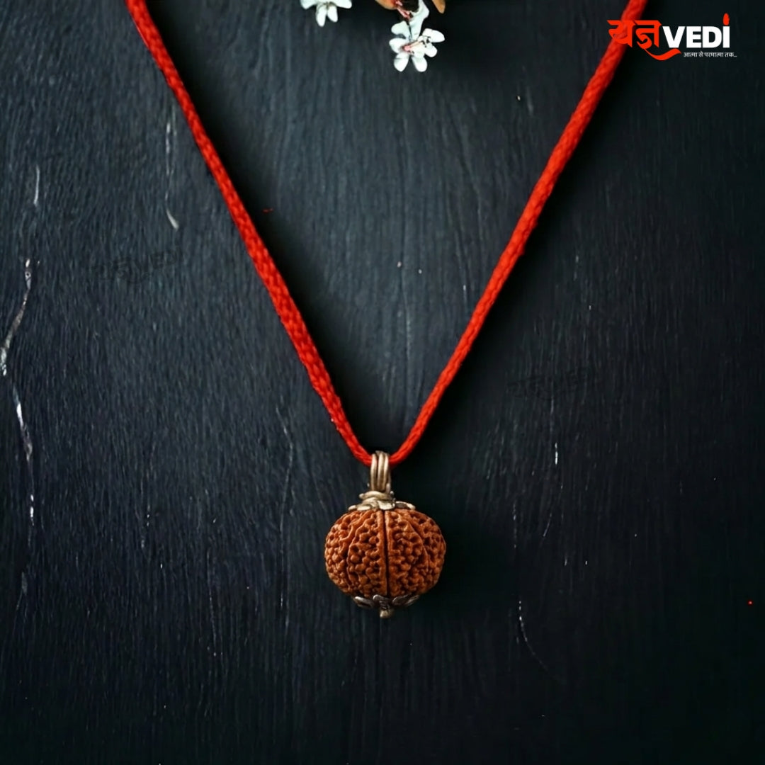 Original 8 Mukhi Nepali Rudraksha (Aath Mukhi) — Get Free 5 Mukhi Rudraksha | Yagnvedi (Limited-Time Offer)