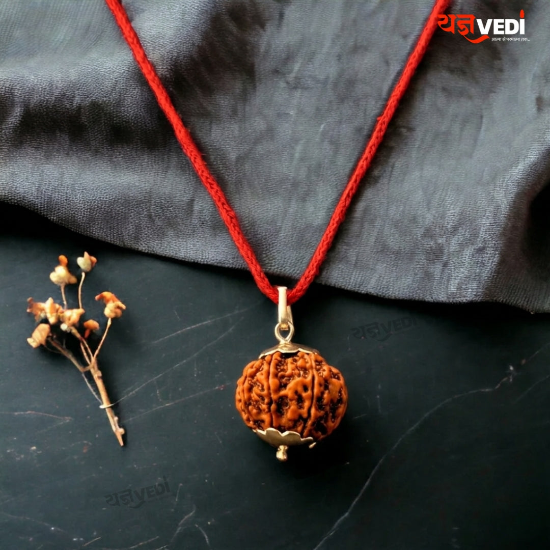 Original 9 Mukhi Nepali Rudraksha (Nau Mukhi)
