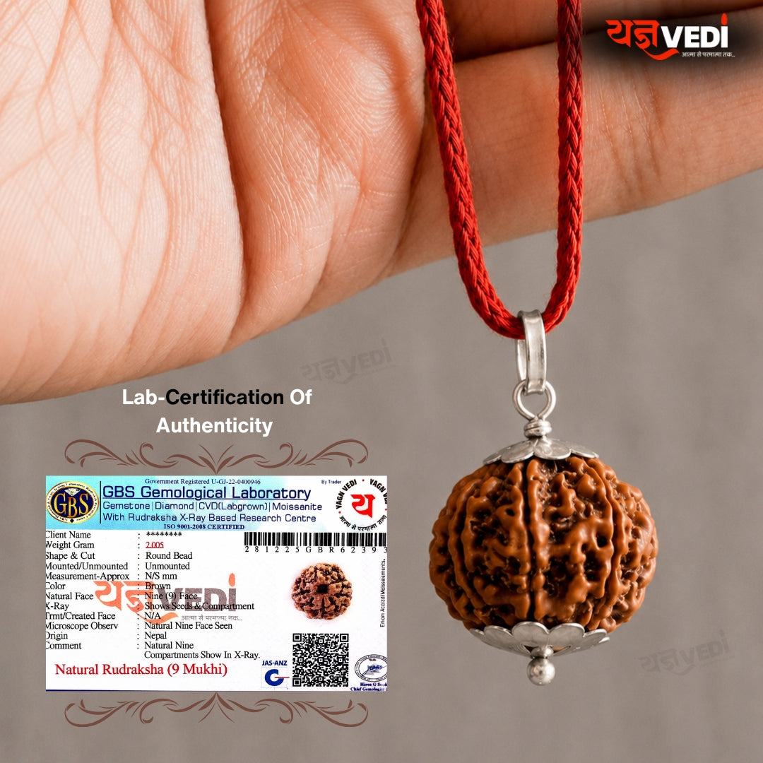 Original 9 Mukhi Nepali Rudraksha (Nau Mukhi)