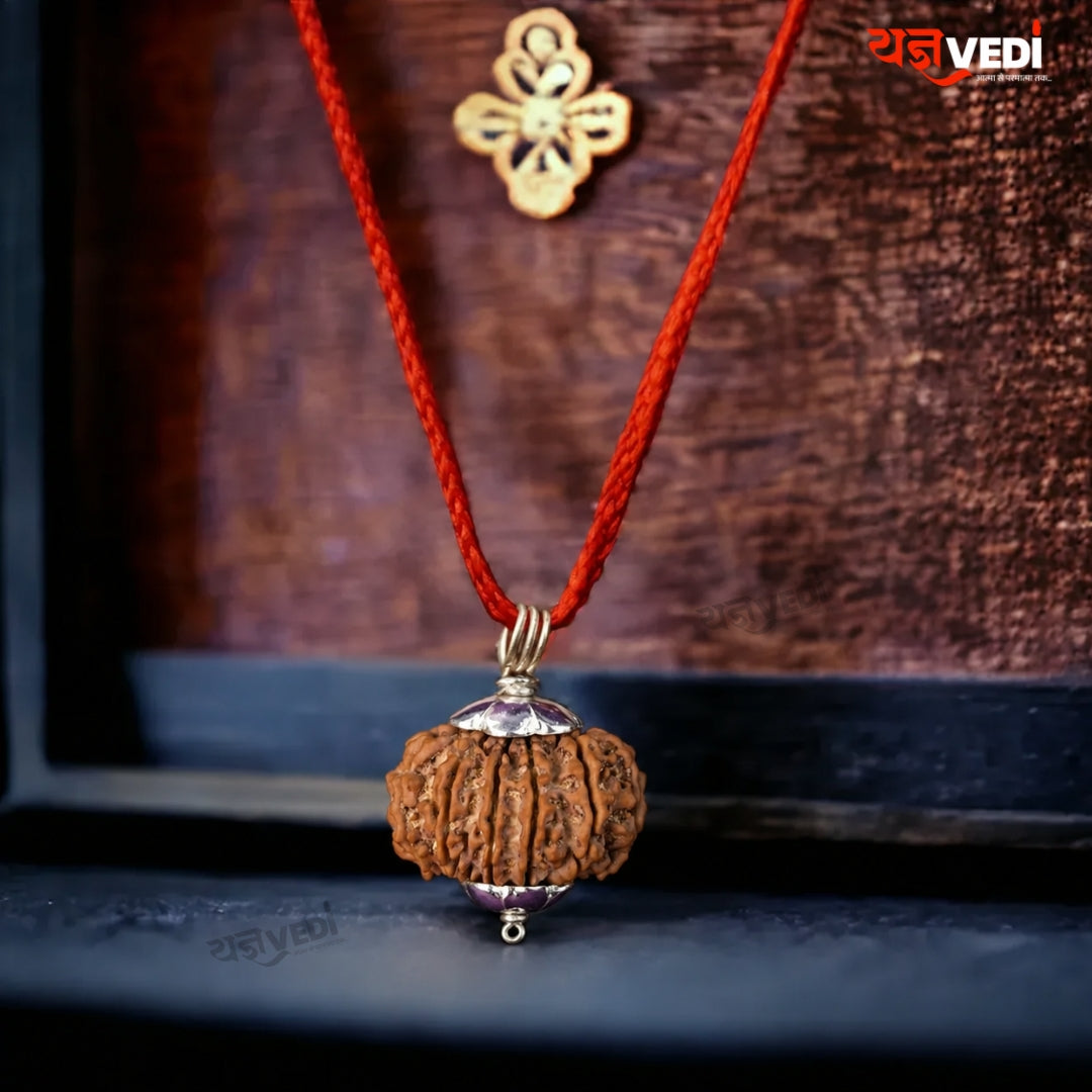 Original 10 Mukhi Nepali Rudraksha (Das Mukhi)