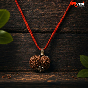 Original 11 Mukhi Nepali Rudraksha (Gyaarah Mukhi)