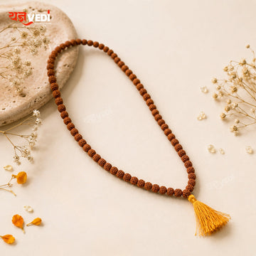 Rudraksh Jap Mala – 108 +1 Beads