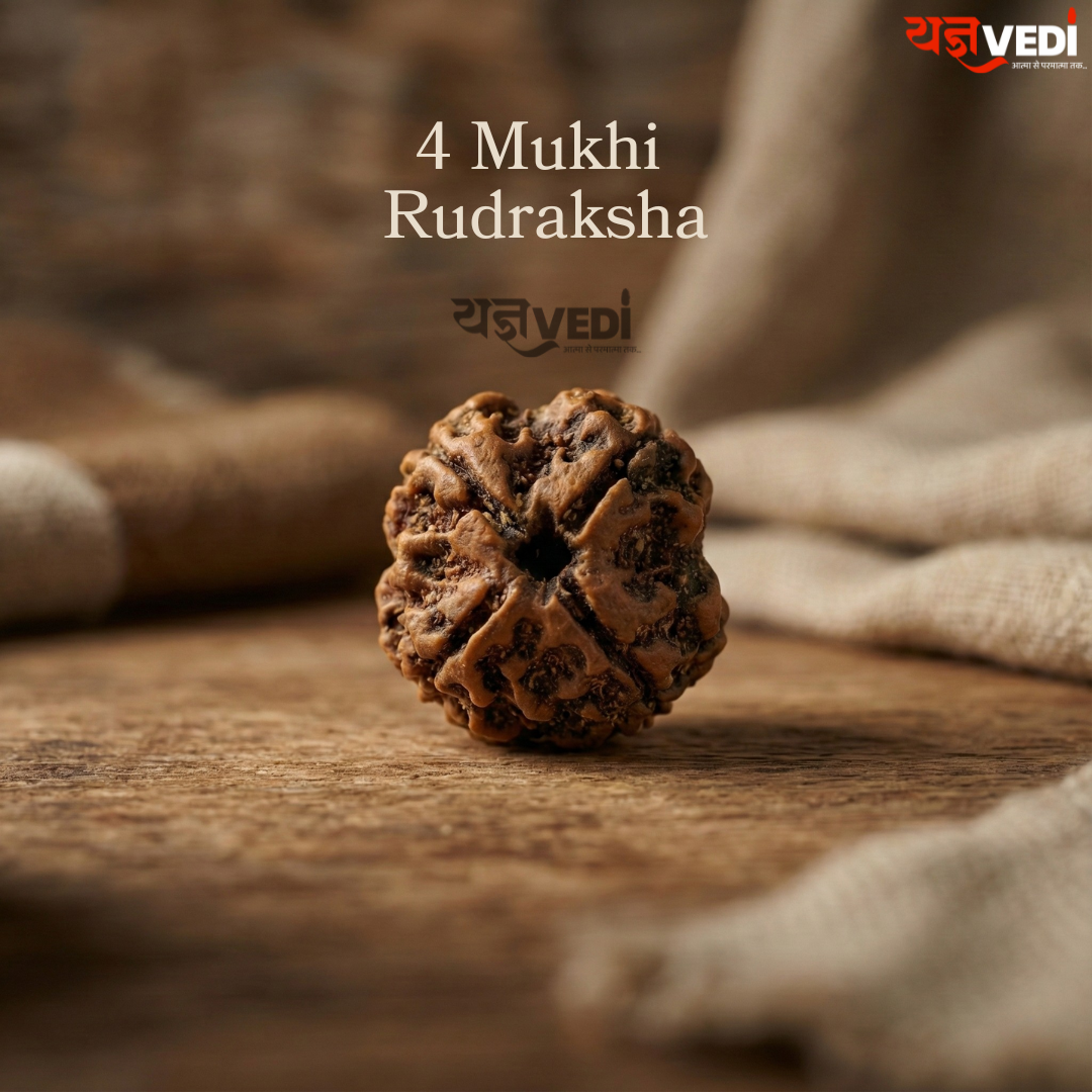 Original 4 Mukhi Nepali Rudraksha (Chaar Mukhi)