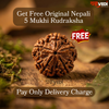 Free Original 5 Mukhi Nepali Rudraksha