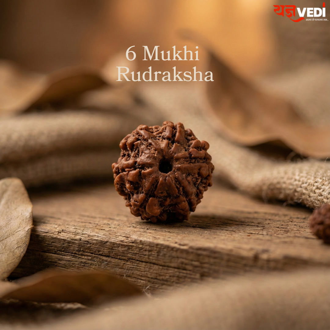 Original 6 Mukhi Nepali Rudraksha (Chhey Mukhi)