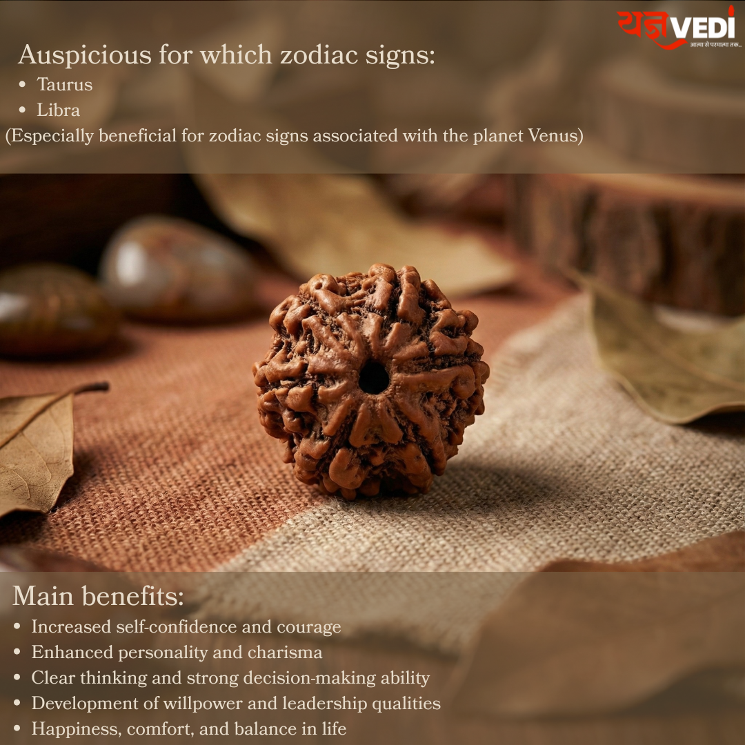 Original 6 Mukhi Nepali Rudraksha (Chhey Mukhi)