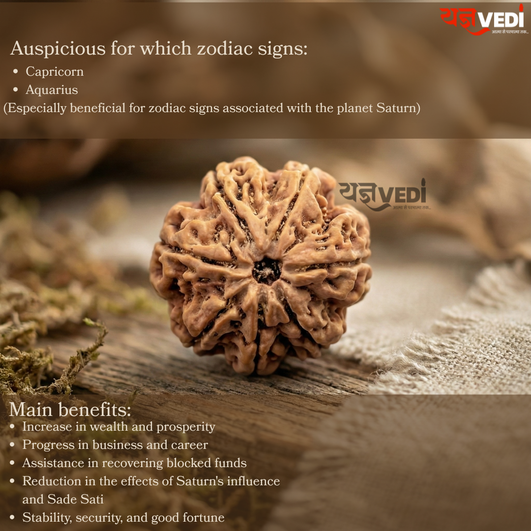 Original 7 Mukhi Nepali Rudraksha (Saat Mukhi)