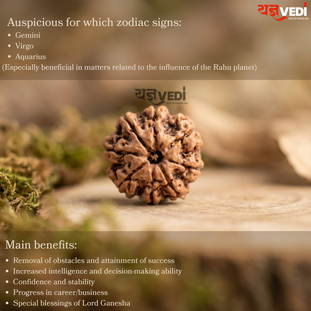 Original 8 Mukhi Nepali Rudraksha (Aath Mukhi) — Get Free 5 Mukhi Rudraksha | Yagnvedi (Limited-Time Offer)