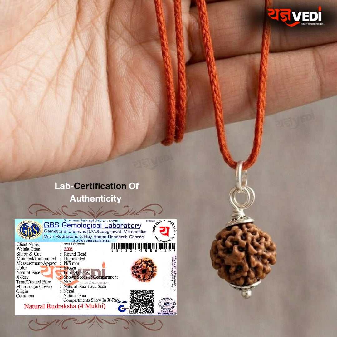 Original 4 Mukhi Nepali Rudraksha (Chaar Mukhi)