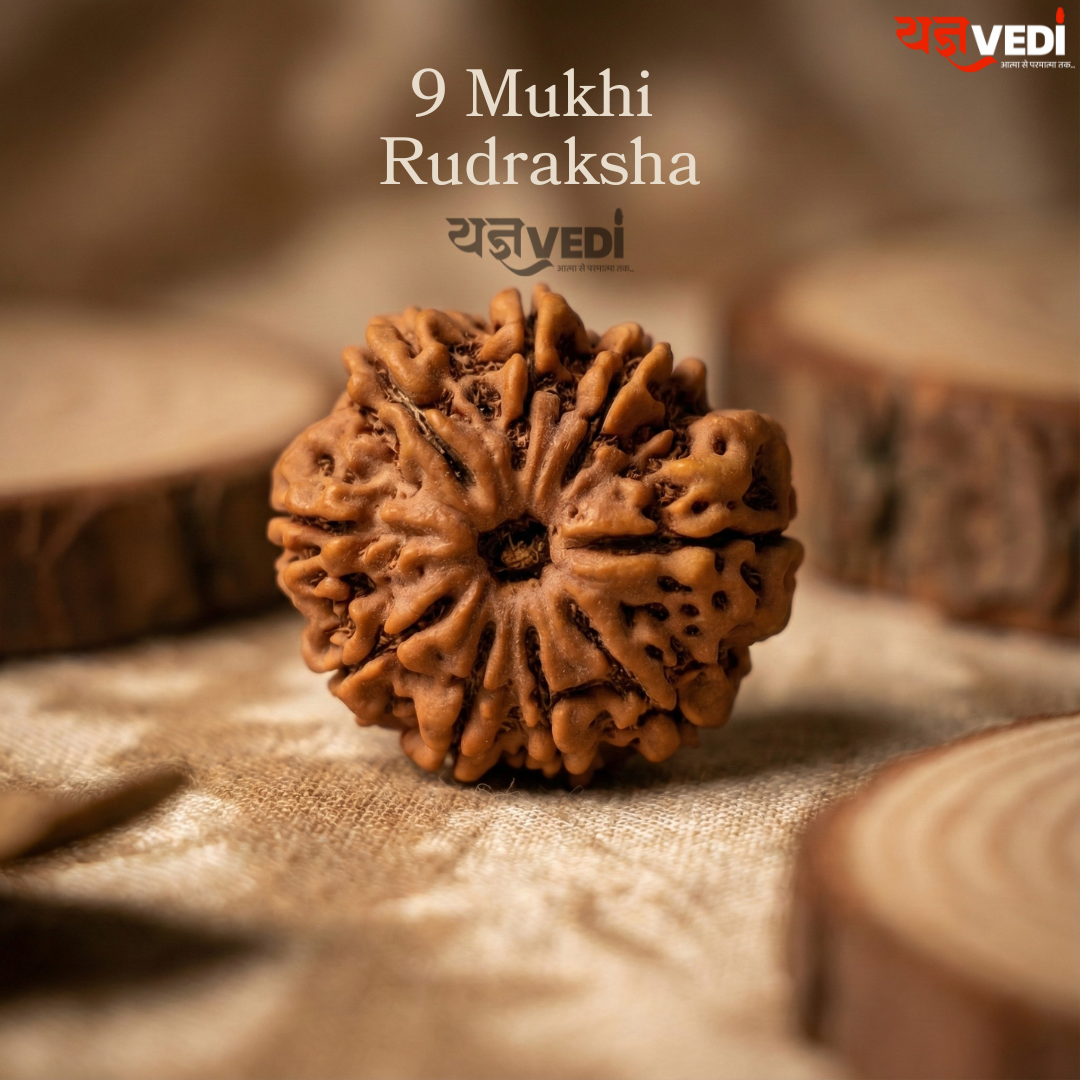 Original 9 Mukhi Nepali Rudraksha (Nau Mukhi)