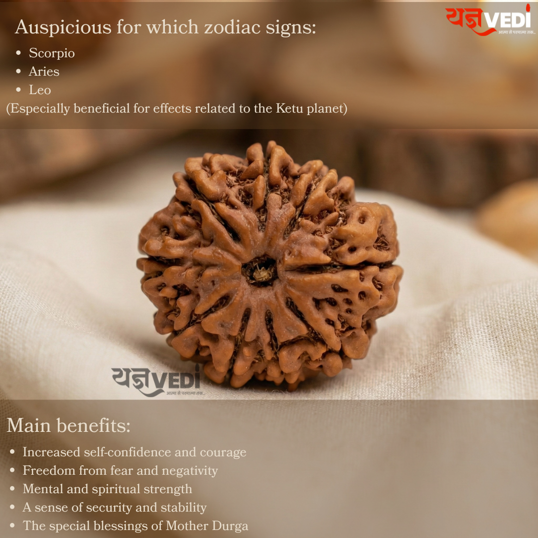 Original 9 Mukhi Nepali Rudraksha (Nau Mukhi)
