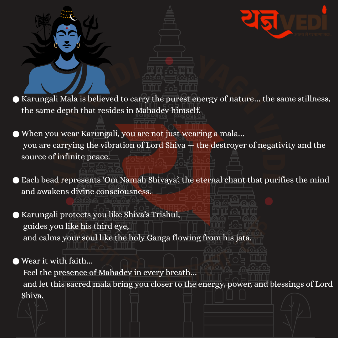 Karungali Mala for Strength & Positive Energy