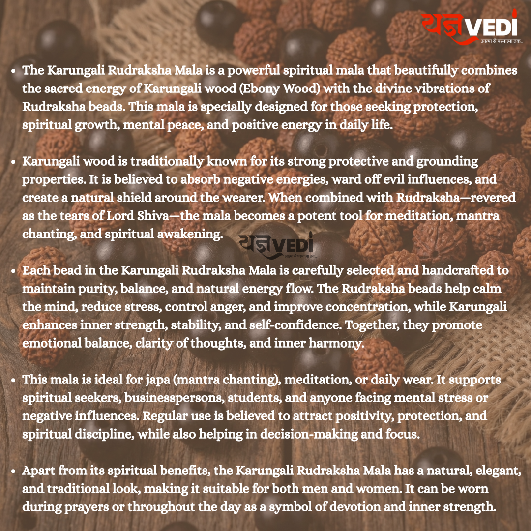 Karungali Rudraksh Mix Mala