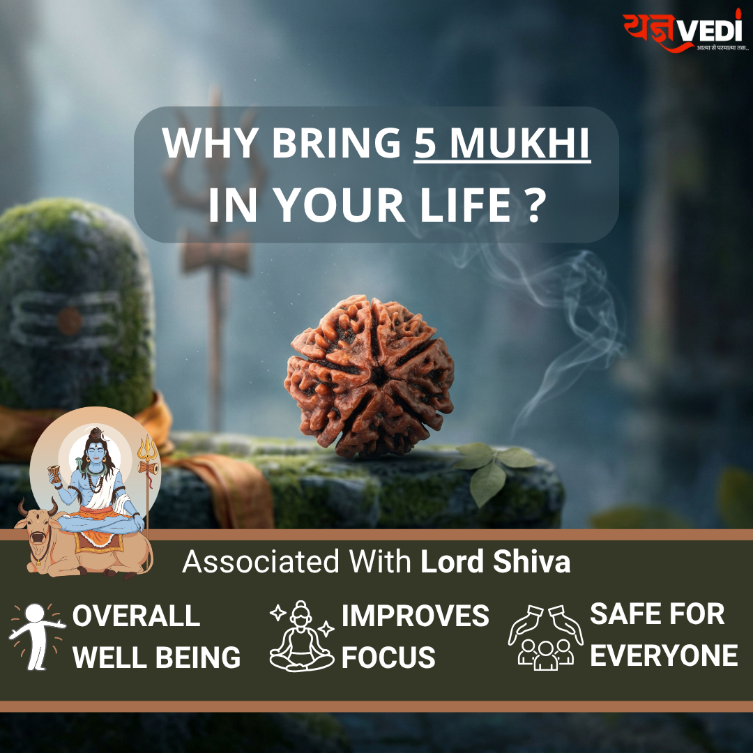 Free Original 5 Mukhi Nepali Rudraksha