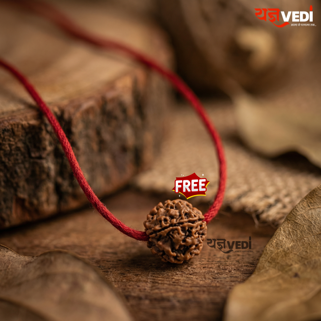 Free Original 5 Mukhi Nepali Rudraksha